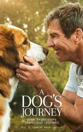 فيلم A Dog s Journey 2019 مترجم HD