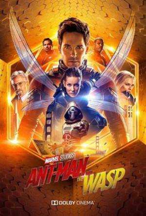 فيلم Ant Man and the Wasp 2018 مترجم اون لاين