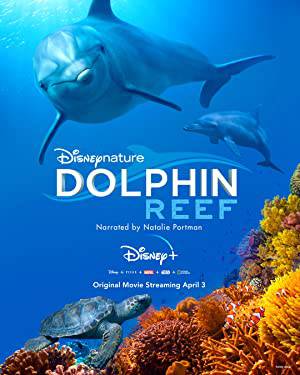 فيلم Dolphin Reef 2020 مترجم HD