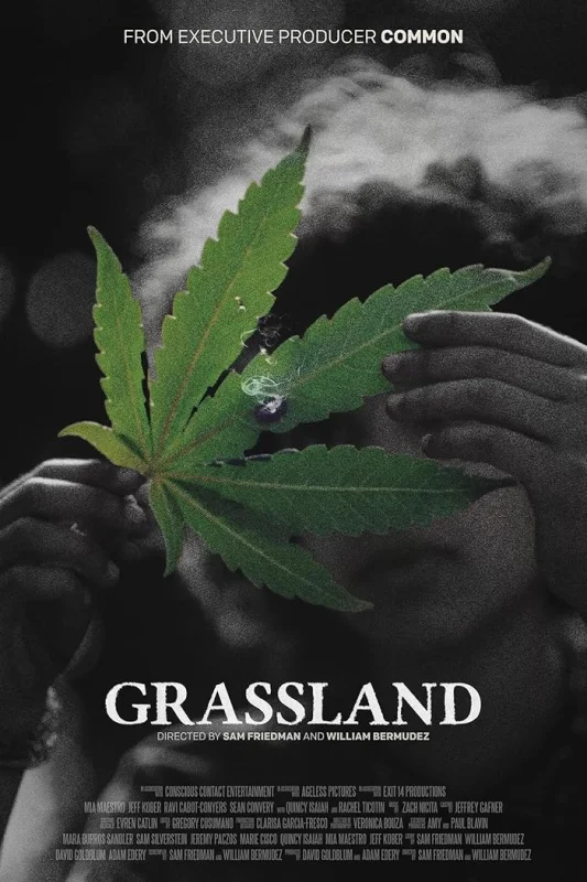 مشاهدة فيلم Grassland 2024 مترجم اون لاين
