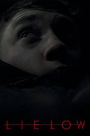 فيلم Lie Low 2019 مترجم HD