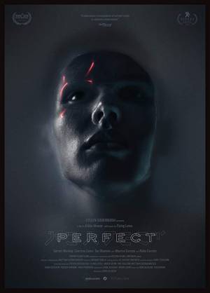 مشاهدة فيلم Perfect 2018 مترجم HD