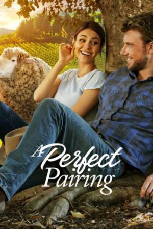 فيلم A Perfect Pairing 2022 مترجم بجودة HD